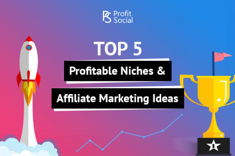 What are the most profitable niches